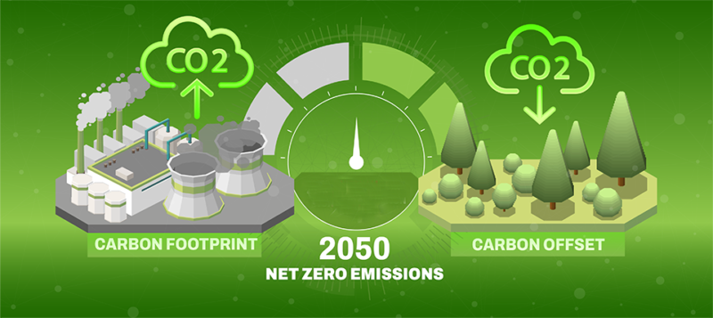 What Are Carbon Credits?