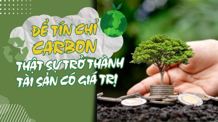 Vai Trò Của Tín Chỉ Carbon Tại Việt Nam
